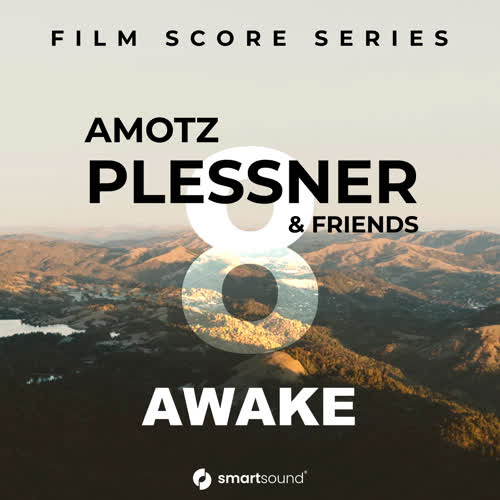Amotz Plessner & Friends Vol 8 - Awake