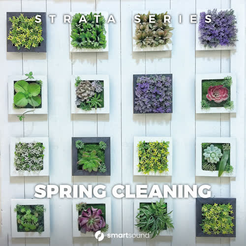 Spring Cleaning